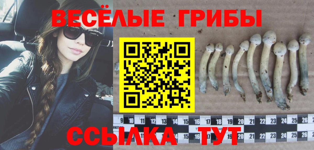 Псилоцибиновые грибы MAGIC MUSHROOMS Кемерово