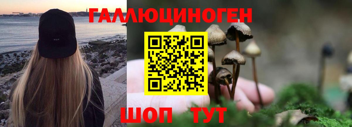 продажа наркотиков  Вход с VPN  Кемерово  Псилоцибиновые грибы мицелий 